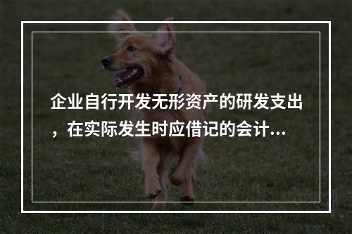 企业自行开发无形资产的研发支出，在实际发生时应借记的会计科目