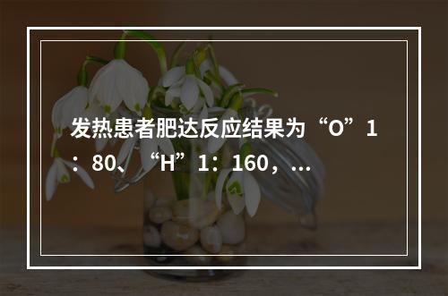 发热患者肥达反应结果为“O”1：80、“H”1：160，正确