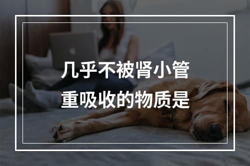 几乎不被肾小管重吸收的物质是