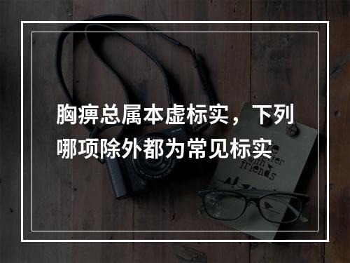 胸痹总属本虚标实，下列哪项除外都为常见标实