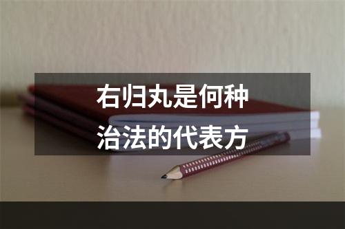 右归丸是何种治法的代表方