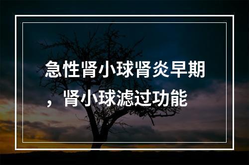 急性肾小球肾炎早期，肾小球滤过功能