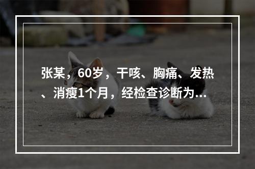 张某，60岁，干咳、胸痛、发热、消瘦1个月，经检查诊断为小细