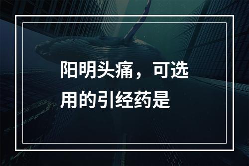 阳明头痛，可选用的引经药是