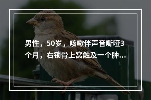 男性，50岁，咳嗽伴声音嘶哑3个月，右锁骨上窝触及一个肿大的