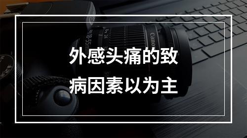 外感头痛的致病因素以为主