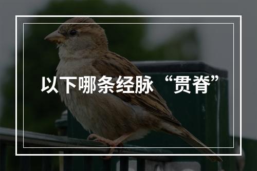 以下哪条经脉“贯脊”