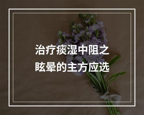 治疗痰湿中阻之眩晕的主方应选