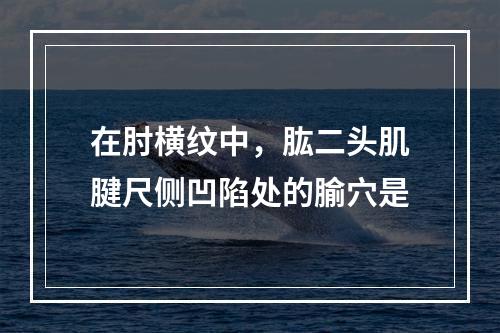 在肘横纹中，肱二头肌腱尺侧凹陷处的腧穴是