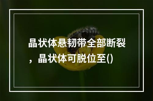 晶状体悬韧带全部断裂，晶状体可脱位至()