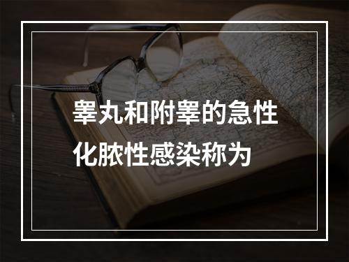 睾丸和附睾的急性化脓性感染称为