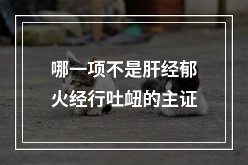 哪一项不是肝经郁火经行吐衄的主证