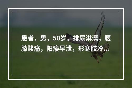 患者，男，50岁。排尿淋漓，腰膝酸痛，阳痿早泄，形寒肢冷。舌