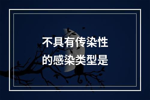 不具有传染性的感染类型是