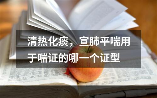 清热化痰，宣肺平喘用于喘证的哪一个证型