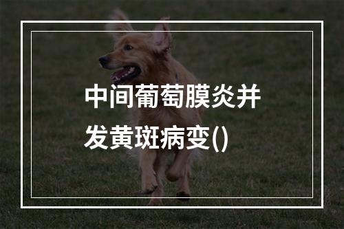 中间葡萄膜炎并发黄斑病变()