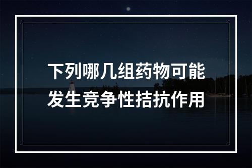 下列哪几组药物可能发生竞争性拮抗作用