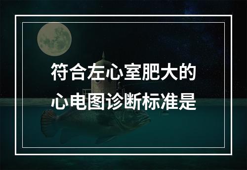 符合左心室肥大的心电图诊断标准是