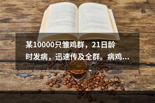 某10000只雏鸡群，21日龄时发病，迅速传及全群。病鸡伸