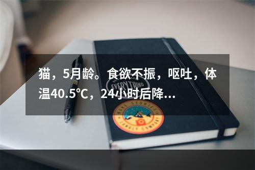 猫，5月龄。食欲不振，呕吐，体温40.5℃，24小时后降至