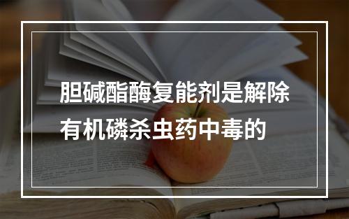 胆碱酯酶复能剂是解除有机磷杀虫药中毒的