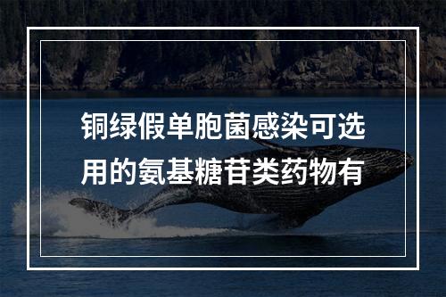 铜绿假单胞菌感染可选用的氨基糖苷类药物有