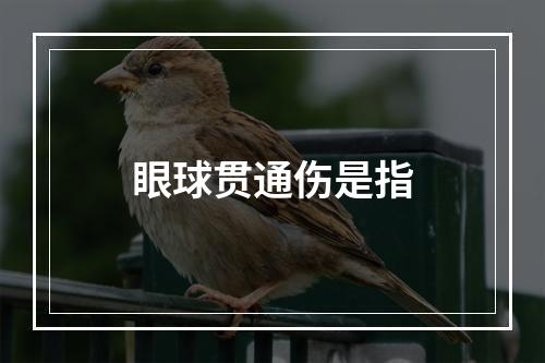 眼球贯通伤是指