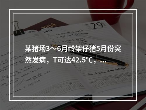 某猪场3～6月龄架仔猪5月份突然发病，T可达42.5℃，精