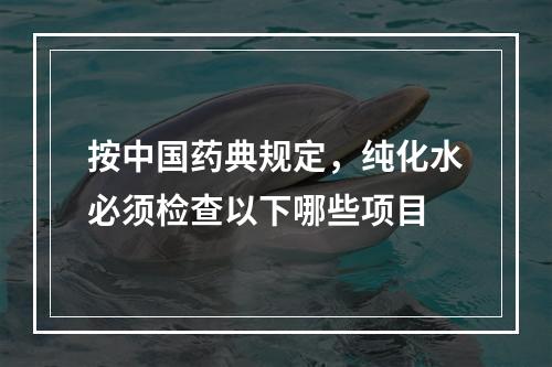 按中国药典规定，纯化水必须检查以下哪些项目