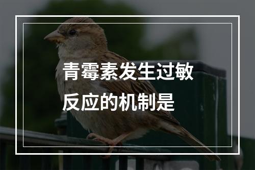 青霉素发生过敏反应的机制是