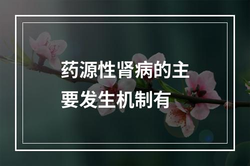 药源性肾病的主要发生机制有