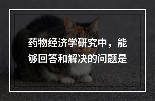 药物经济学研究中，能够回答和解决的问题是