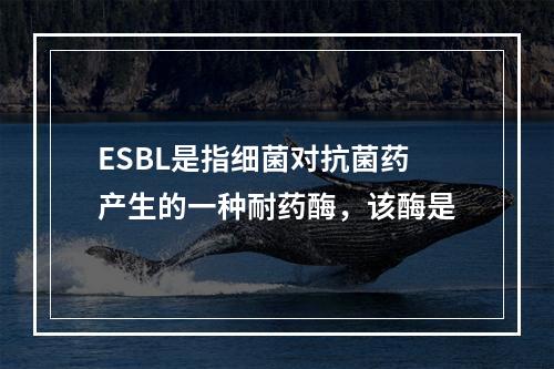 ESBL是指细菌对抗菌药产生的一种耐药酶，该酶是