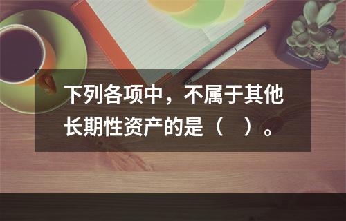 下列各项中，不属于其他长期性资产的是（　）。