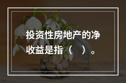 投资性房地产的净收益是指（　）。