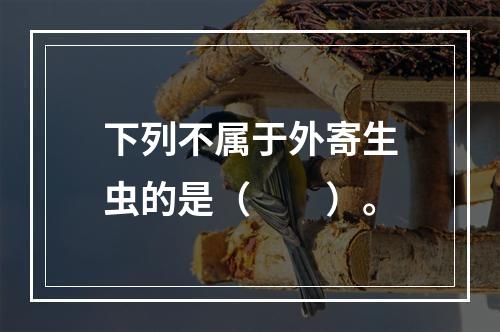 下列不属于外寄生虫的是（　　）。