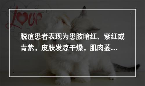 脱疽患者表现为患肢暗红、紫红或青紫，皮肤发凉干燥，肌肉萎缩，