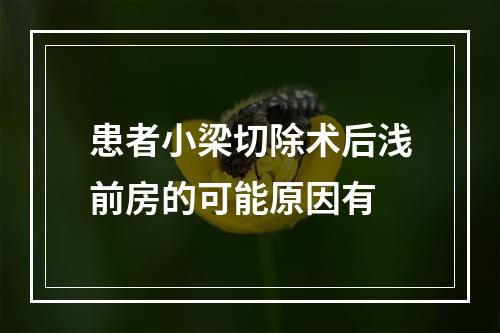 患者小梁切除术后浅前房的可能原因有