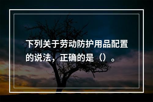 下列关于劳动防护用品配置的说法，正确的是（）。