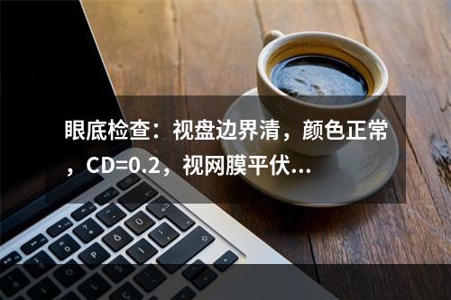 眼底检查：视盘边界清，颜色正常，CD=0.2，视网膜平伏，黄