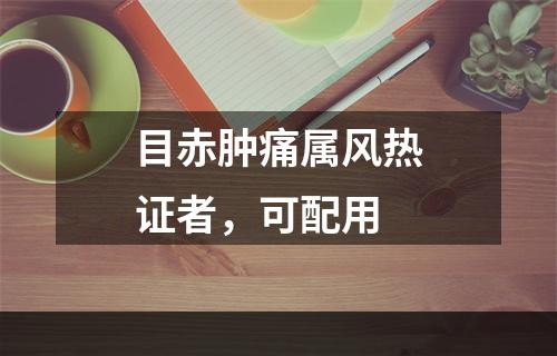 目赤肿痛属风热证者，可配用