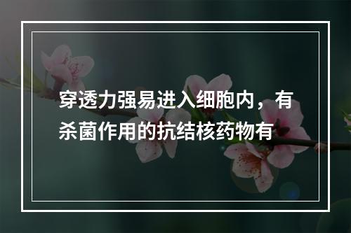 穿透力强易进入细胞内，有杀菌作用的抗结核药物有