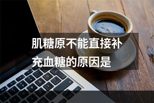 肌糖原不能直接补充血糖的原因是