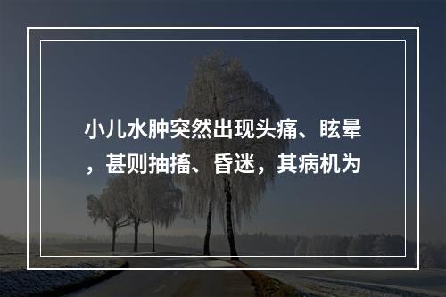 小儿水肿突然出现头痛、眩晕，甚则抽搐、昏迷，其病机为