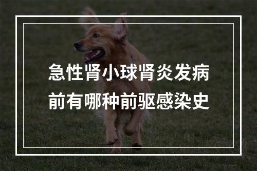 急性肾小球肾炎发病前有哪种前驱感染史