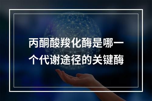 丙酮酸羧化酶是哪一个代谢途径的关键酶