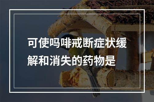 可使吗啡戒断症状缓解和消失的药物是