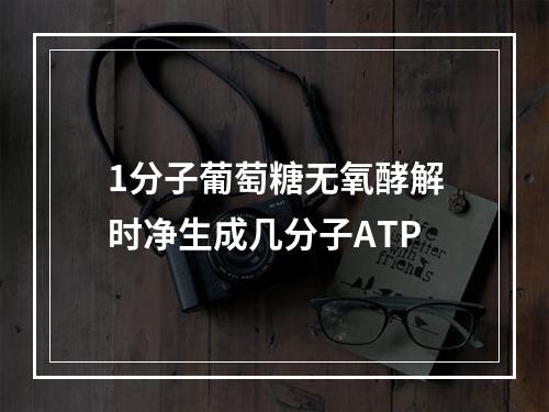 1分子葡萄糖无氧酵解时净生成几分子ATP