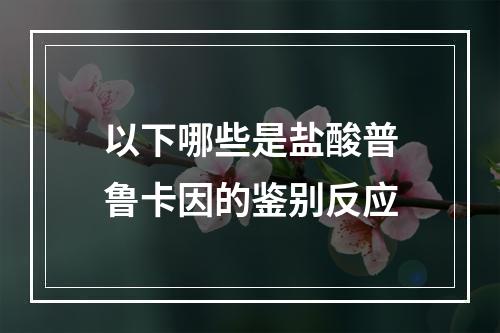 以下哪些是盐酸普鲁卡因的鉴别反应