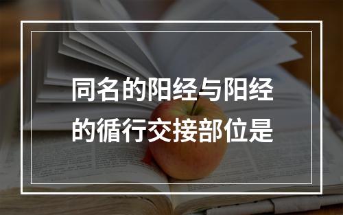 同名的阳经与阳经的循行交接部位是